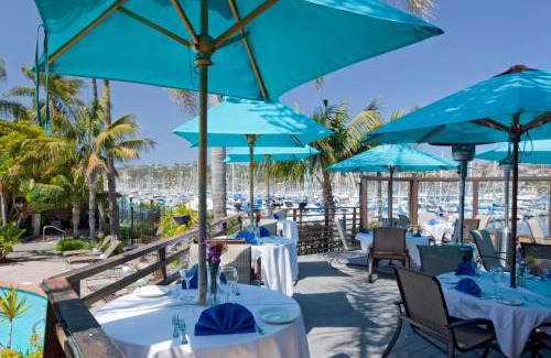 La Playa Hotel | Pet-Friendly Escape at Best Western PLUS Island Palms Hotel