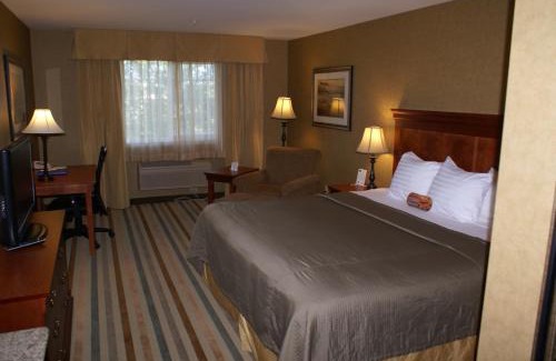 Tri-Cities Hotel | Comfortable Stay at Best Western Plus Kennewick Inn