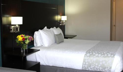 La Mesa Hotel | Quality Stay at Best Western PLUS La Mesa San Diego Hotel