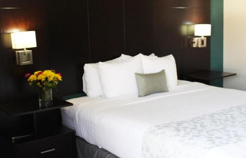 La Mesa Hotel | Quality Stay at Best Western PLUS La Mesa San Diego Hotel