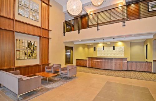 Lacey Hotel | Discover Best Western Plus Lacey Inn & Suites – Pet Friendly!