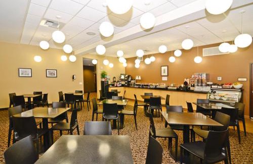 Lacey Hotel | Discover Best Western Plus Lacey Inn & Suites – Pet Friendly!