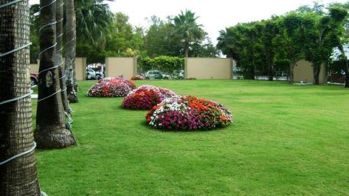 Los Mochis Hotel | Elegant Stay at Best Western PLUS Los Mochis - 4 Star Rated