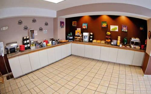 Auburn Hotel | Pet-Friendly Getaway at Best Western PLUS Mountain View Inn
