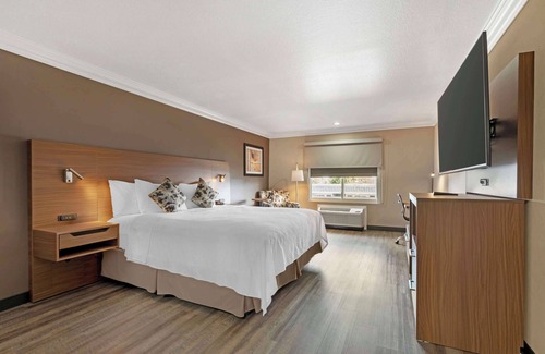 Santa Ana Heights Hotel | Comfortable Stay at Best Western Plus Newport Mesa Inn