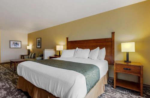 Clarendon Hotel | Pet-Friendly Retreat at Best Western Plus Red River Inn