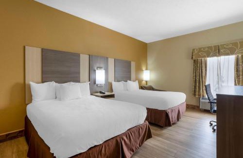 Springfield Hotel | Pet-Friendly Haven at Best Western Plus Springfield Airport Inn