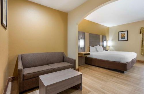 Springfield Hotel | Pet-Friendly Haven at Best Western Plus Springfield Airport Inn