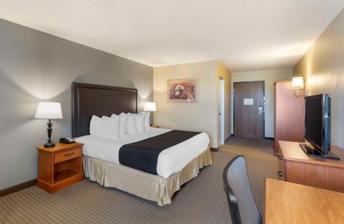 St. Charles Hotel | Pet-Friendly Getaway at Best Western Plus The Charles Hotel