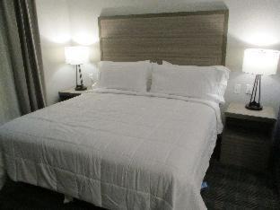Wills Point Hotel | Highly Rated Best Western Plus Wills Point Awaits You