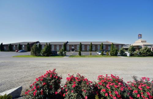 Shepherdsville Hotel | Pet-Friendly Getaway at Best Western Shepherdsville