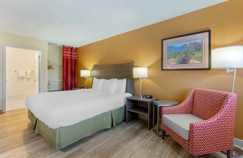 Superstition Springs Hotel | Pet-Friendly Escape at Best Western Superstition Springs Inn