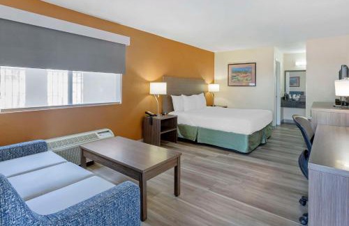 Superstition Springs Hotel | Pet-Friendly Escape at Best Western Superstition Springs Inn