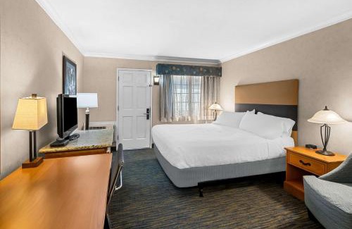 Davis Hotel | Comfortable Stay at Best Western University Lodge
