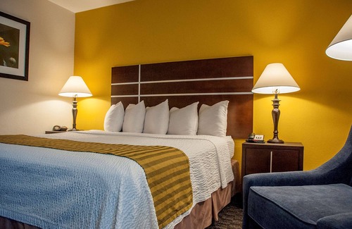 Raisin Hotel | Comfortable Stay at Best Western Village Inn with Pool