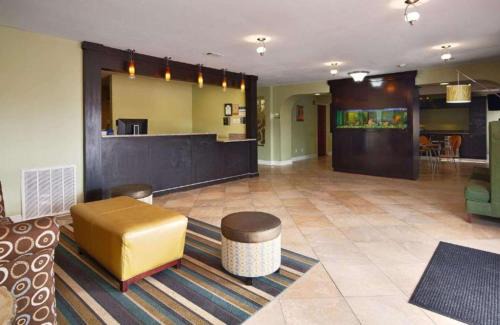 Zachary Hotel | Pet-Friendly Paradise at Best Western Zachary Inn