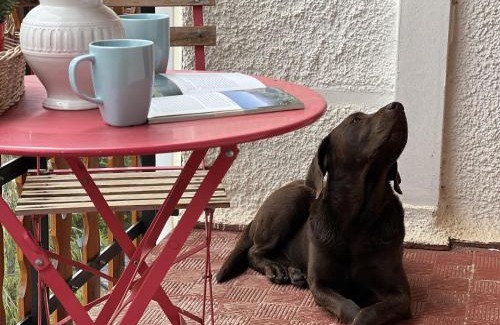 Formigal Apartment | Betato Hotel: Pet-Friendly Stay with WiFi in Pirineos
