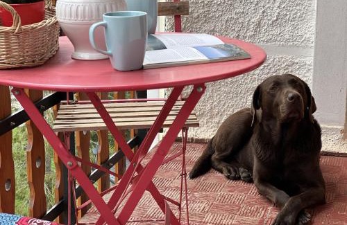 Formigal Apartment | Betato Hotel: Pet-Friendly Stay with WiFi in Pirineos