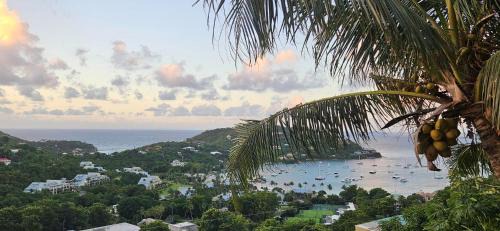 Estate Bethany Apartment | Immaculate Ocean Views at Westin Resort with Private Beach