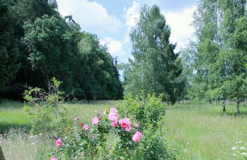 Bad Harzburg Apartment | Inviting Stay at Bett im Bahnhof Güterschuppen, Pet Friendly