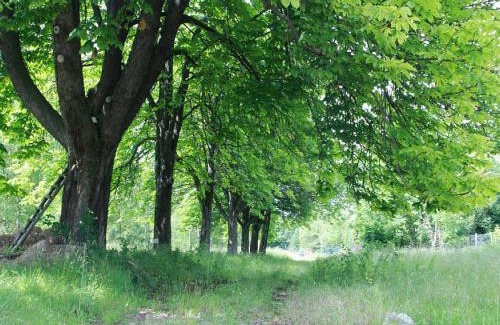 Bad Harzburg Apartment | Inviting Stay at Bett im Bahnhof Güterschuppen, Pet Friendly