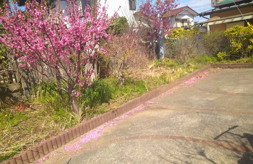 Hojo House | Discover Bettei Tateyama: Family-Friendly with Breakfast