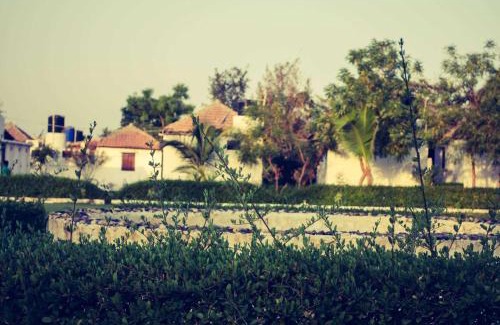 Dasada Resort | Discover Bhavna Resort & Farm: Family-Friendly Getaway