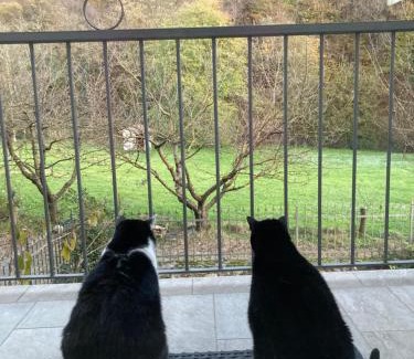 Val di Sur-San Michele Bed & Breakfast | Pet-Friendly BiancoGelso b&b Vegan - Guest Rated 9.4/10