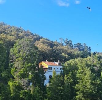Monchique Cabin | Discover Bica Boa: Family-Friendly with Pool Access