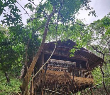 El Nido Cabin | Bice Overlooking Cabins Darocotan