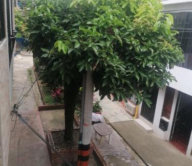 Ibague House | Welcome to Your Home Away from Home Near Lagos Club Comfatolima
