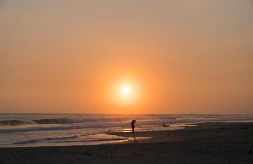 Habaraduwa Bed & Breakfast | Oceanfront Bieshu Beach Hive: Guest Rated 9.3/10