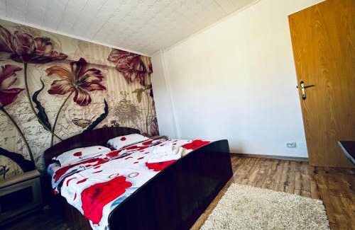 Craiova Apartment | Big apartament