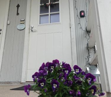 Saarijarvi Apartment | Big apartment in the middle of Saarijärvi City!