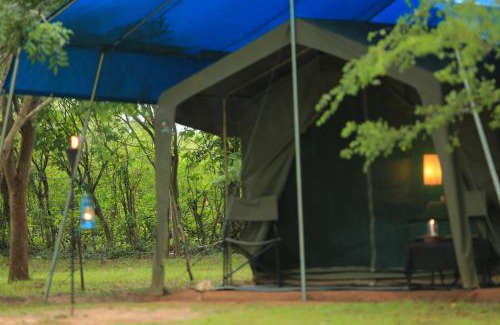 Pahala Maragahawewa Other | Experience Big Game - Wilpattu with Family-Friendly Amenities