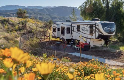 Aguanga House | Pet-Friendly Retreat: Big Country Dogs Ranch in Temecula