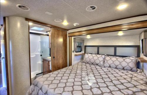 Aguanga House | Pet-Friendly Retreat: Big Country Dogs Ranch in Temecula