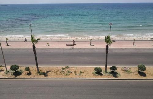 Sidon Apartment | Seafront Apartment in Saida, Lebanon – Pet & Child Friendly