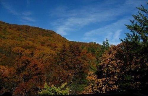 Helen Cabin | Idyllic Big Sky Cabin with Mt Yonah Views & Hot Tub
