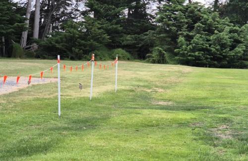 Kelso Resort | Relax at BIG4 Kelso Sands Holiday & Wildlife Park