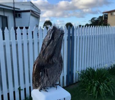 Kelso Resort | Relax at BIG4 Kelso Sands Holiday & Wildlife Park