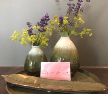 Municipality of Den Helder Bed & Breakfast | Eco-Friendly Bij van der Veer with Ocean View Awaits You