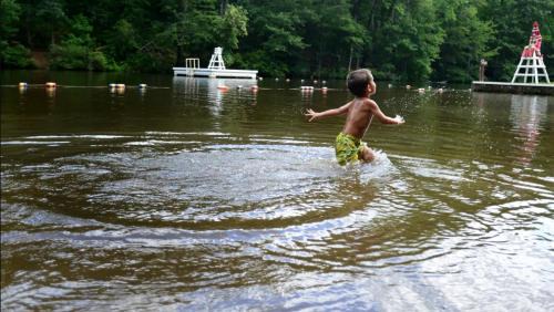 Sans Souci House | Ideal Swamp Rabbit Retreat: 4-Star Stay Near Downtown GVL