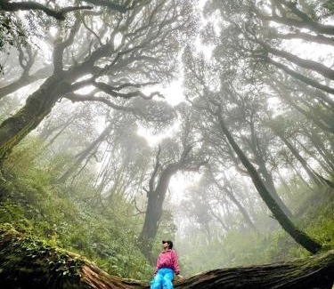 Vi Xuyen House | Highly Rated Bikki Jungle Homestay for Your Next Adventure