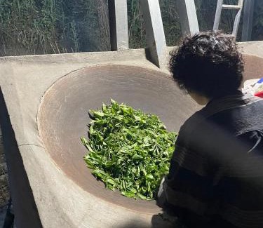 Vi Xuyen House | Highly Rated Bikki Jungle Homestay for Your Next Adventure