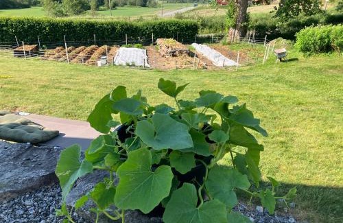 Hobol House | Bilitt gård: Family-Friendly Retreat with Pet Amenities
