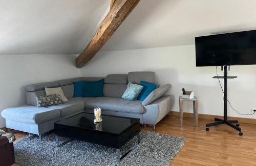 Socourt Apartment | Relax at Billard & Sauna: Perfect for Families and Pets