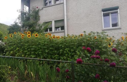 St. Gallen Apartment | Top-Rated Billenberghof: Family-Friendly Getaway Awaits
