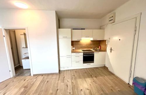 Leoben Apartment | Billige bescheidene Kleinwohnung in Leoben