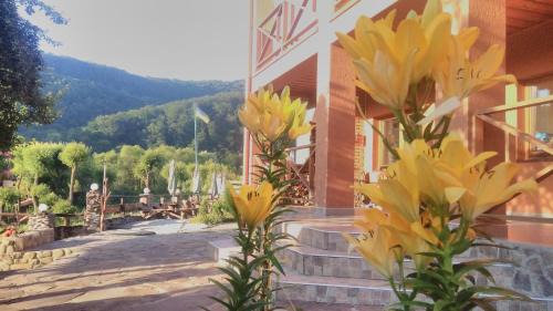 Sil Hotel | Discover Bilovoddya Hotel: Beachfront Retreat with Spa